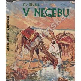 V Negebu