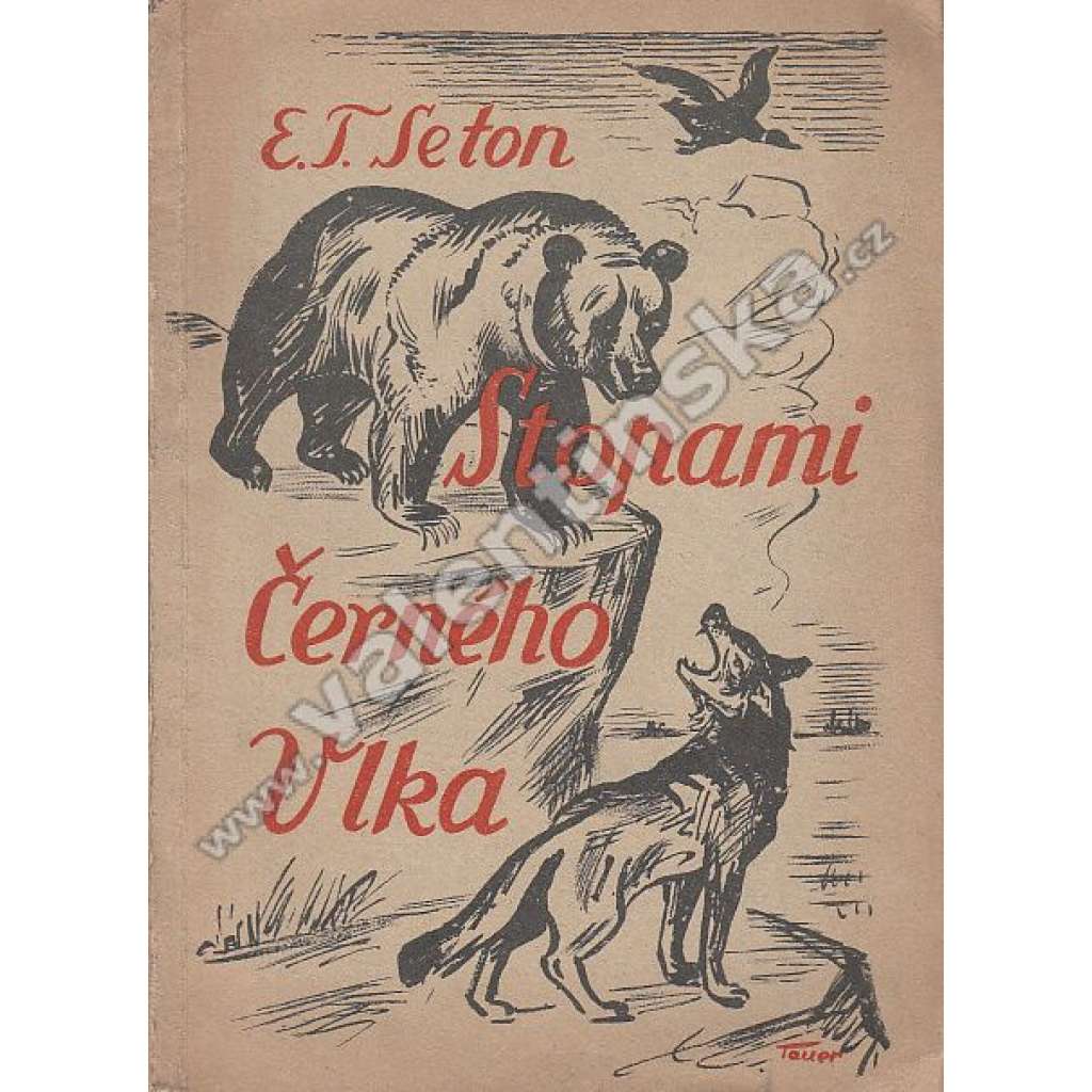 Stopami Černého vlka