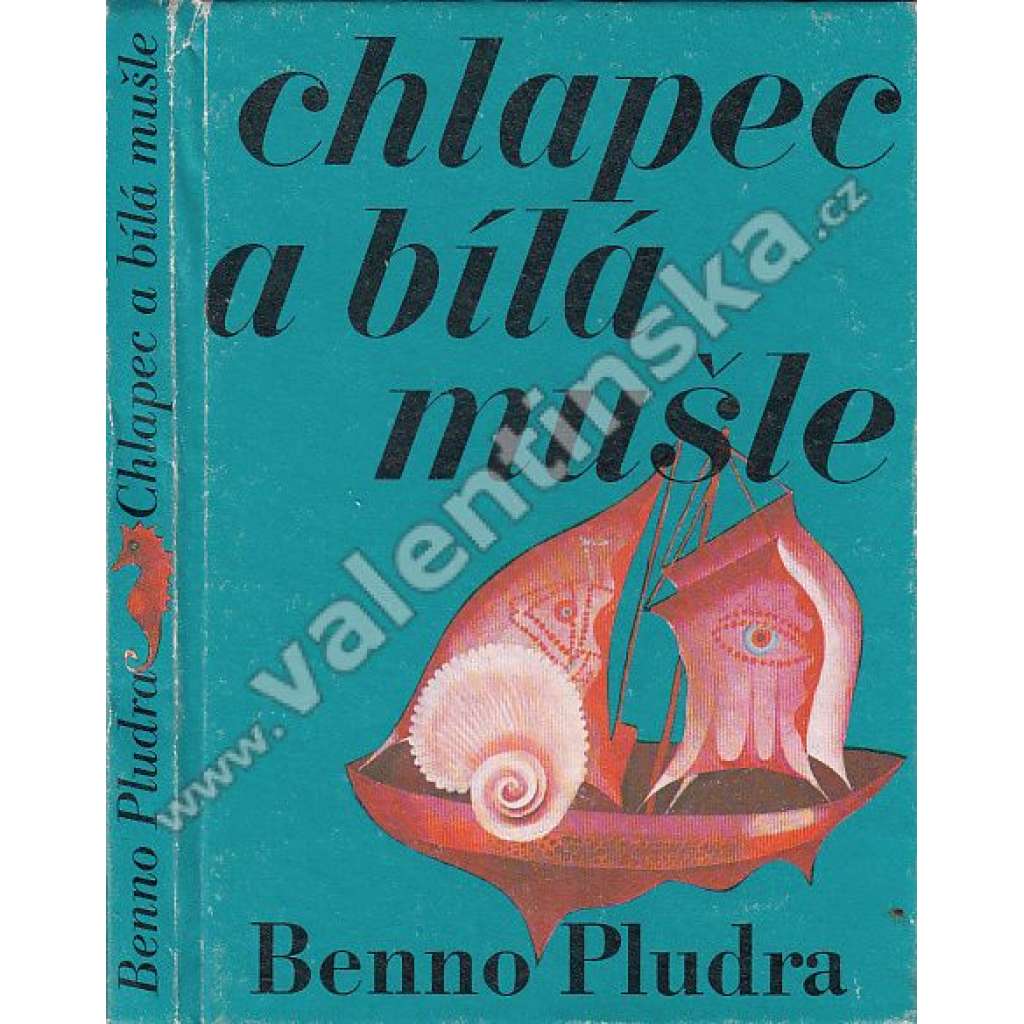Chlapec a bílá mušle