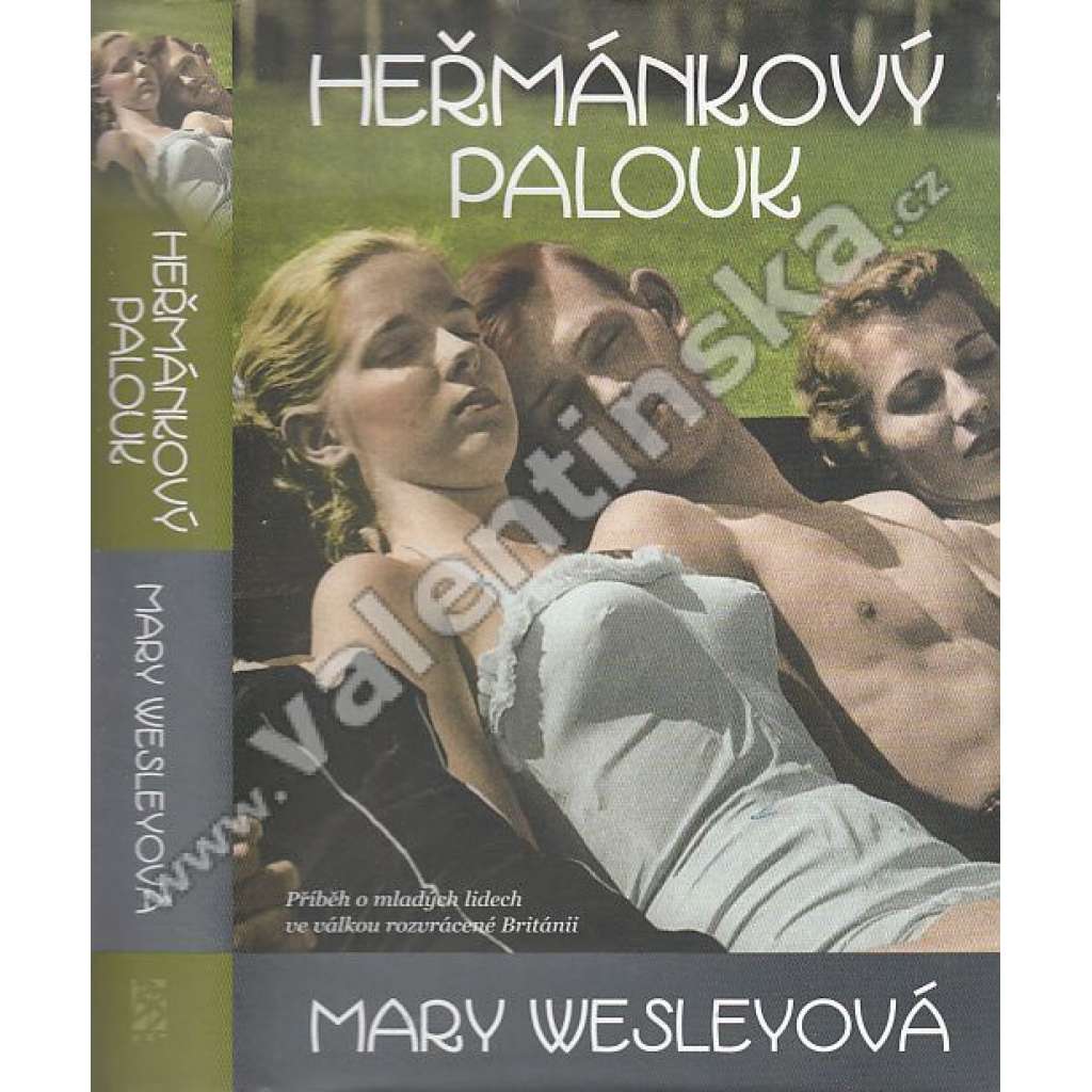 Heřmánkový palouk