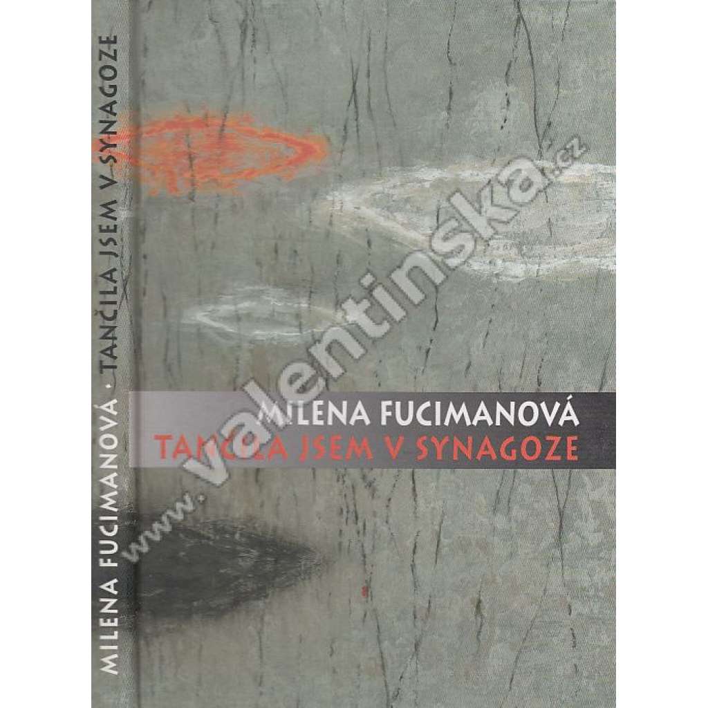Tančila jsem v Synagoze